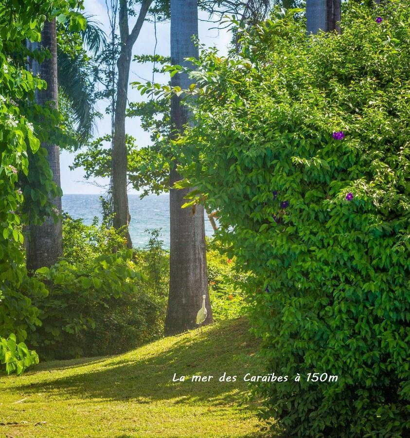 Villa Cezanne Sainte-Rose Dış mekan fotoğraf